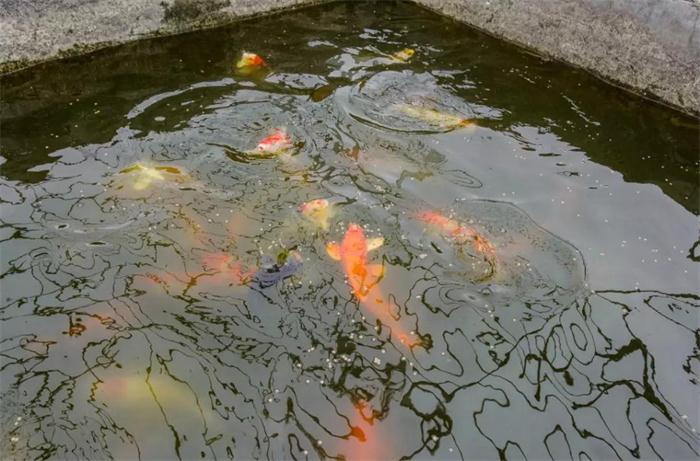 老子有钱lzyq88(中国)有限公司