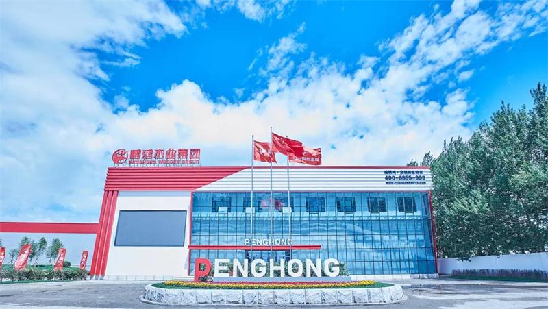 老子有钱lzyq88官网“定制家”升级“梦想家”