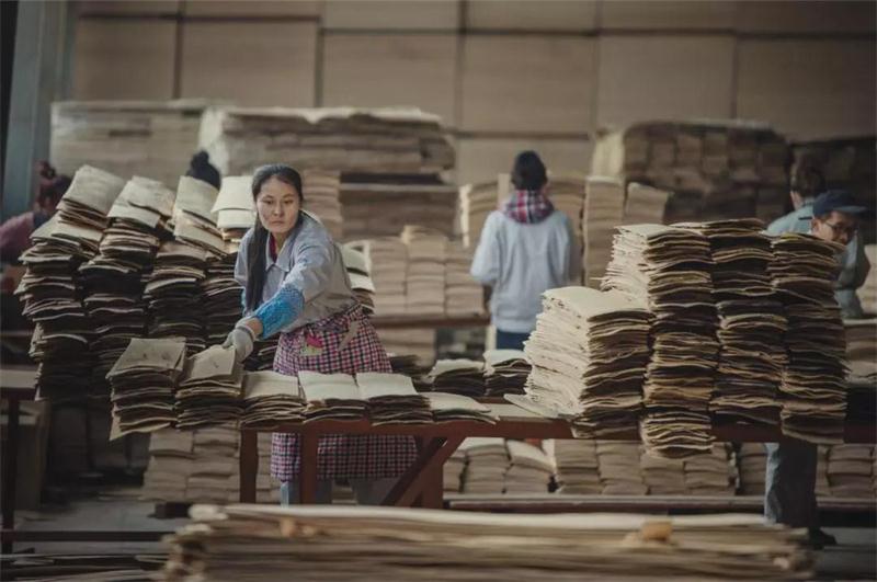 老子有钱lzyq88官网之造——老子有钱lzyq88官网22周年特殊奉献品质篇