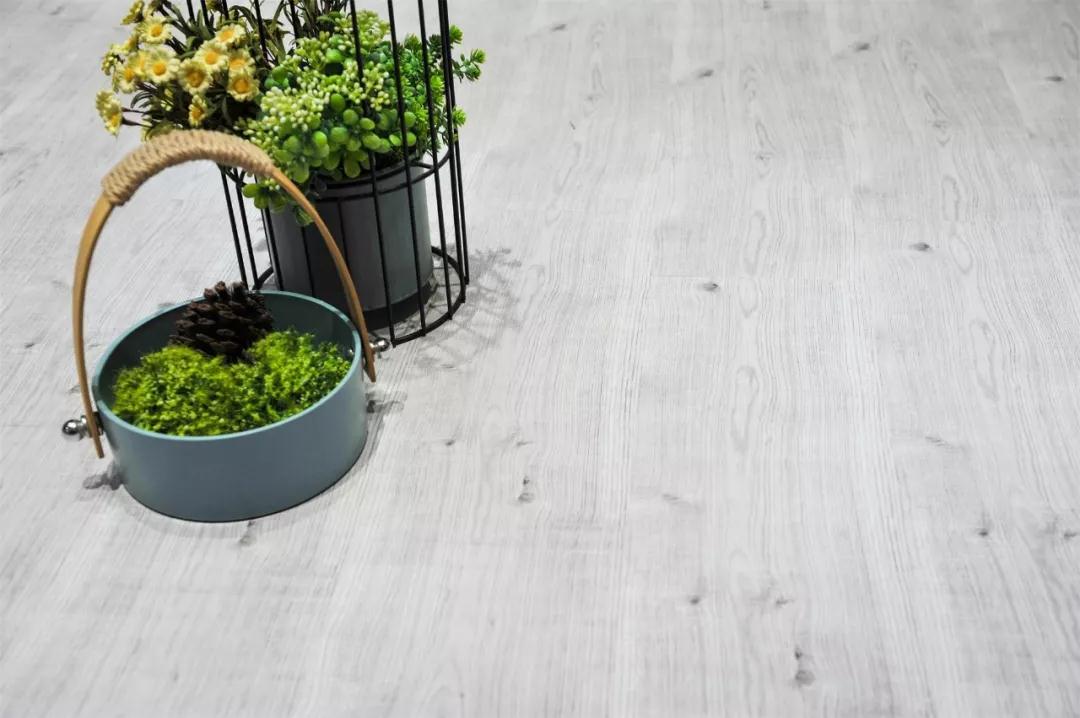 老子有钱lzyq88官网强化地板伊丽莎白系列-5806