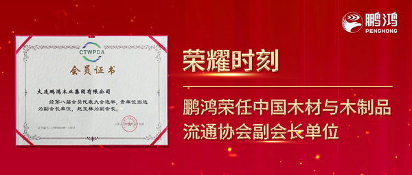 再获行业肯定，，老子有钱lzyq88官网荣任中国木料与木制品流通协会副会长