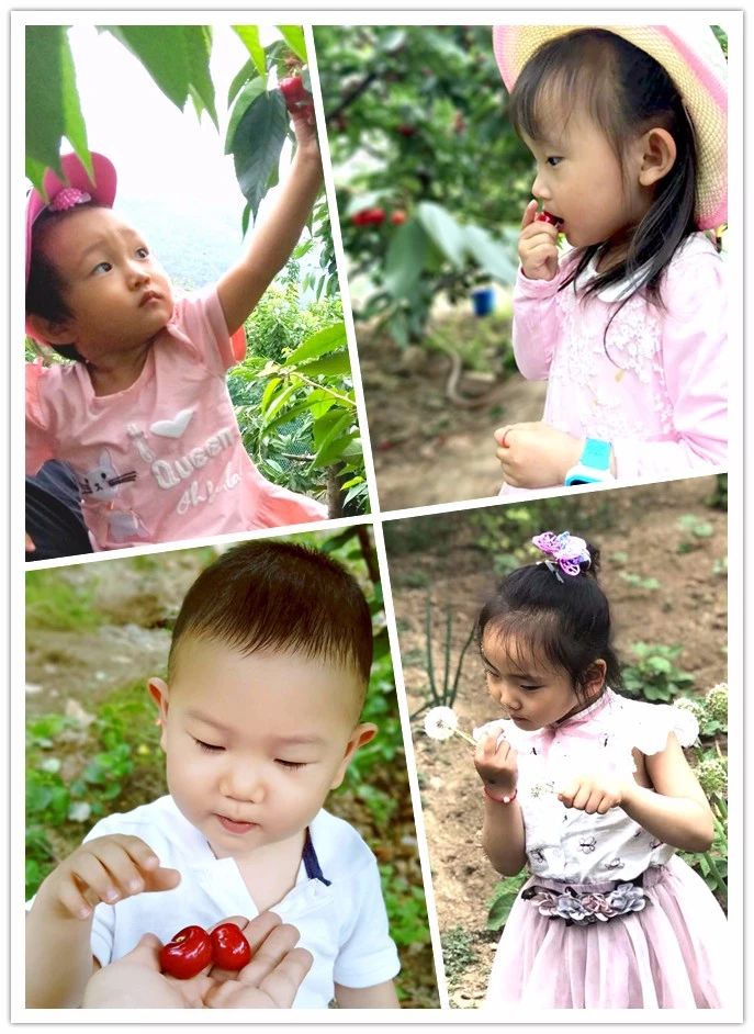 老子有钱lzyq88(中国)有限公司