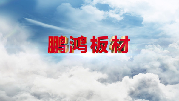 老子有钱lzyq88官网产品纪录片之板材篇