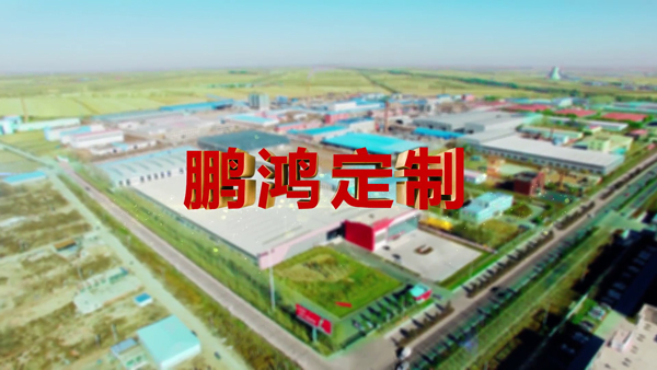 老子有钱lzyq88官网产品纪录片之定制篇